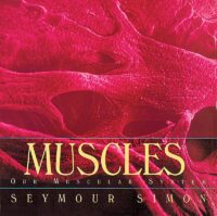 Muscles: Our Muscular System