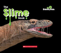 The Slime Book