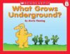 Little Leveled Readers Level B Box Set