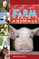 Farm Animals