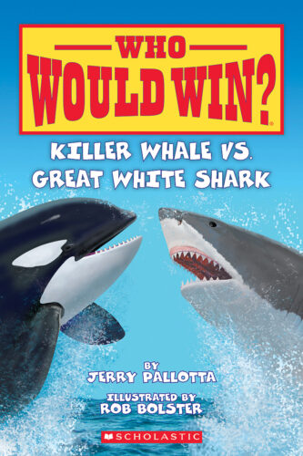 who would win® killer whale vs great white shark