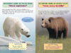 Who Would Win?® Polar Bear vs. Grizzly Bear