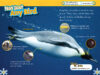 National Geographic Kids&trade;: Penguins! (Level 2 Reader)