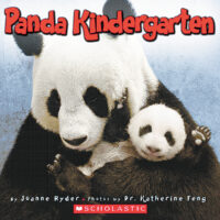 Panda Kindergarten