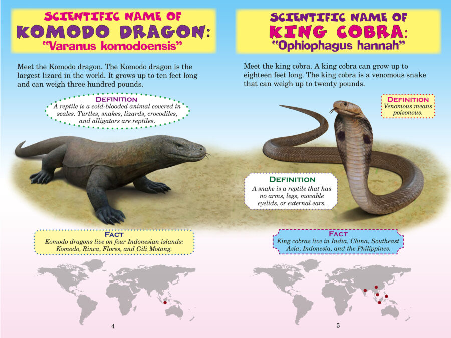 Who Would Win Komodo Dragon Vs King Cobra By Jerry Pallotta Paperback Scholastic Book Clubs