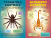 Who Would Win?® Tarantula vs. Scorpion