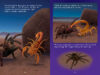 Who Would Win?® Tarantula vs. Scorpion