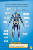Smart Words Science Reader: Bones & Muscles