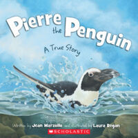 Pierre the Penguin: A True Story