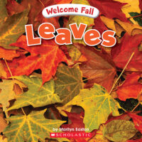 Welcome Fall: Leaves