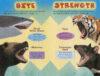 Who Would Win?&reg; Wolverine vs. Tasmanian Devil