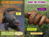 Who Would Win?® Alligator vs. Python