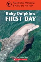 Baby Dolphin's First Day