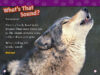 National Geographic Kids™: Wolves