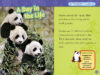 National Geographic Kids™: Pandas