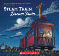 Steam Train, Dream Train