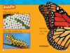 National Geographic Kids™: Caterpillar to Butterfly