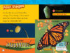 National Geographic Kids™: Caterpillar to Butterfly