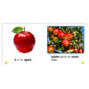 Nonfiction Alphabet Readers (Single-Copy Set)