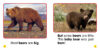 Nonfiction Alphabet Readers (Single-Copy Set)