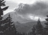 I Survived the Eruption of Mount St. Helens, 1980