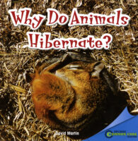 Why Do Animals Hibernate?