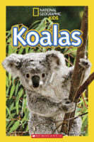 National Geographic Kids™: Koalas