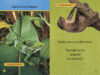 National Geographic Kids™: Swing, Sloth!