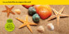 National Geographic Little Kids Look & Learn Collection: Grades PreK–K