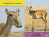 National Geographic Pre-reader Collection: Grades PreK–K