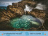 National Geographic Pre-reader Collection: Grades PreK–K