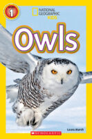 National Geographic Kids™: Owls (Level 1 Reader)