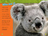 National Geographic Kids&trade;: Koalas (Level 1 Reader)