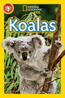 National Geographic Kids&trade;: Koalas (Level 1 Reader)