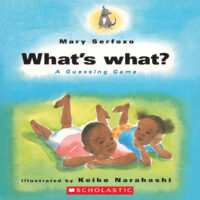 What&rsquo;s What? A Guessing Game