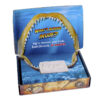 Dig It Up! Shark Teeth