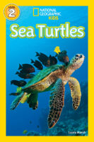 National Geographic Kids&trade;: Sea Turtles (Level 2 Reader)