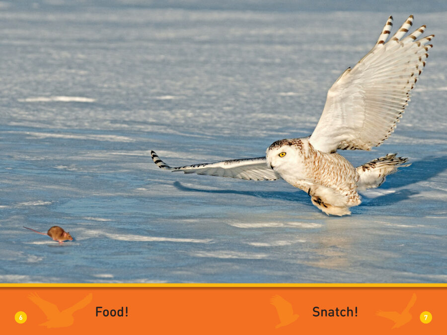 Hoots the interactive owl fao schwarz cheap
