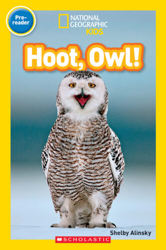 Hoots the interactive hot sale owl fao schwarz