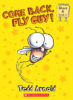 Fly Guy Phonics Box Set