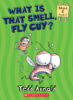 Fly Guy Phonics