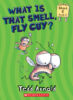 Fly Guy Phonics Box Set