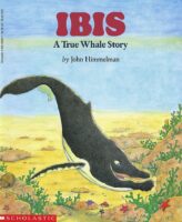 Ibis: A True Whale Story