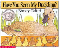 Have You Seen My Duckling?