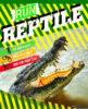 Run! Reptile