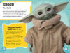 Star Wars™: The Mandalorian Handbook