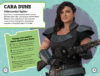 Star Wars™: The Mandalorian Handbook