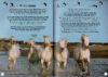 Book of Lists: Animals