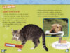 National Geographic Kids™: Los gatos vs. los perros (Cats vs. Dogs)