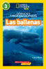 National Geographic Kids™: Grandes migraciones: Las ballenas (Great Migrations: Whales)